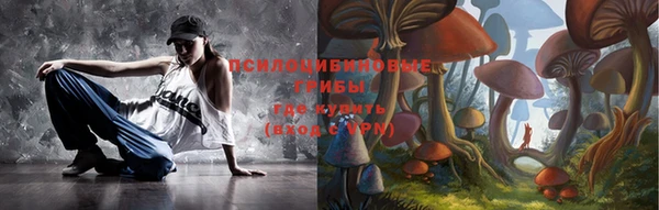 шишки Абдулино