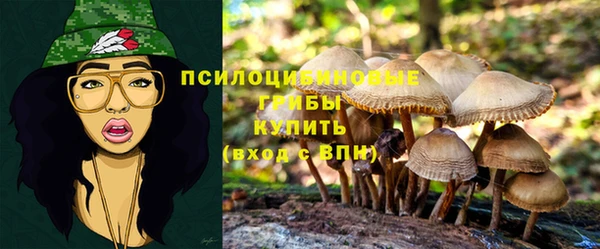 герыч Абинск