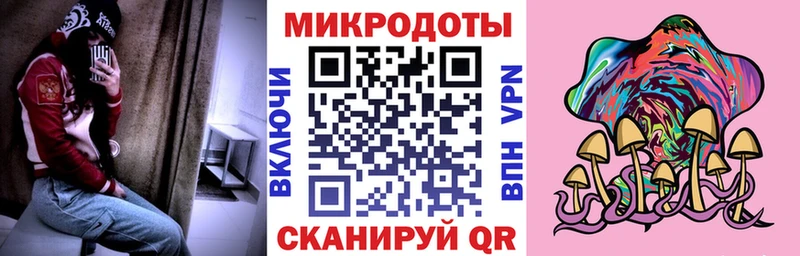 Галлюциногенные грибы Psilocybe Темников